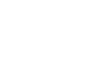 Boryszew Logo