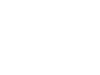 Flex n Gate Logo