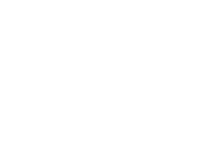 Yanfeng Logo